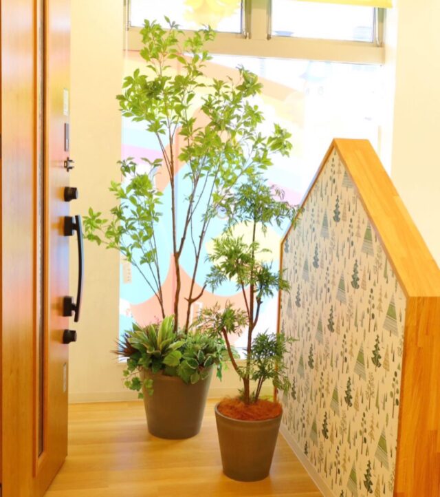 ・
不動産会社様の店舗装飾✾
⁡
新店舗の店内装飾で腰壁の植え込みと
大型鉢植え装飾いたしました🌿
木のぬくもりが感じられる店内に
グリーンを取り入れ清潔感たっぷりの落ちつく空間に😊

キッズスペースもあり、
可愛らしくアットホームな雰囲気でした✧༶⠜
ありがとうございました✨
⁡
フェイクグリーンのメリットは何といっても手間いらず✧
☑︎枯れない・水やり不要・肥料不要
☑︎害虫がつかない・花粉がない
☑︎土を使わないので部屋が汚れない
☑︎ランニングコストがかからない
☑︎屋内では育てるのが難しい植物がディスプレイ出来るetc..
⁡
植物の世話が苦手、虫が嫌い🐝
一年中植物を楽しみたい方、店舗様などには
フェイクグリーンがおすすめです𖧧
⁡
⁡
#不動産#不動産店舗#新店舗オープン#グリーン#植え込み#観葉樹木#アーティフィシャルグリーン#フェイクグリーン#店舗装飾#壁面緑化#リニューアル#店舗ディスプレイ#ディスプレイ#岐阜羽島#空間装飾#グリーン装飾#壁面装飾#グリーンアレンジ#ラヴィニュー#SDGs