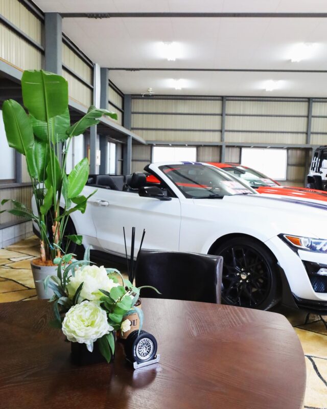 ・
⁡
インポートカーショップ様の
開店祝い用フラワーアレンジ
⁡
書類を書いたりする際や、
会話の妨げにならない
高さや幅を工夫しアレンジ
いたしました
⁡
それぞれテイスト違いで
1Fにあるテーブルでは、
気兼ねなくじっくり検討
されやすい空間であることを
イメージし、カジュアルな
雰囲気のアレンジに𓆸
⁡
2Fはご成約者様が
お手続きなどで使われる
ことを想定して
お部屋のイメージに合わせた
高級感のあるシックな
雰囲気でお作りいたしました𖧧
⁡
観葉植物とフラワーアレンジ
オーダーいただきありがとうございます❇︎
⁡
⁡
☑︎お店のイメージを変えたい方
☑︎お店のリニューアルを考えている方
☑︎女性のお客様を増やしたい方
☑︎空間を少しでも広く見せたい方etc...
お気軽にメッセージよりご相談くださいませ🕊️
⁡
植物の世話が苦手、虫が嫌い🐝
一年中植物を楽しみたい方、店舗様などには
フェイクグリーンがおすすめです𖧧
⁡
⁡
#インポートカー#インポートカーショップ#カーデザイン#開店祝い#不動産#不動産店舗#新店舗オープン#グリーン#植え込み#観葉樹木#アーティフィシャルグリーン#フェイクグリーン#店舗装飾#壁面緑化#リニューアル#店舗ディスプレイ#ディスプレイ#岐阜羽島#空間装飾#グリーン装飾#壁面装飾#グリーンアレンジ#ラヴィニュー#SDGs